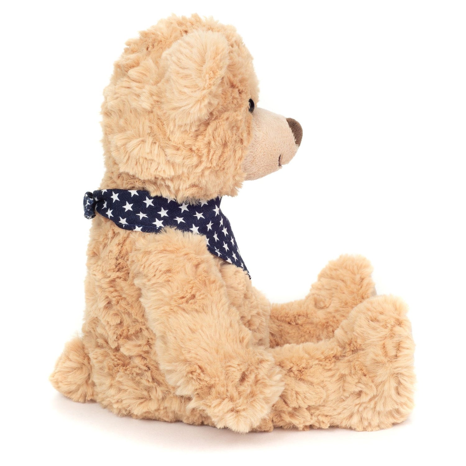 Teddy Sandy