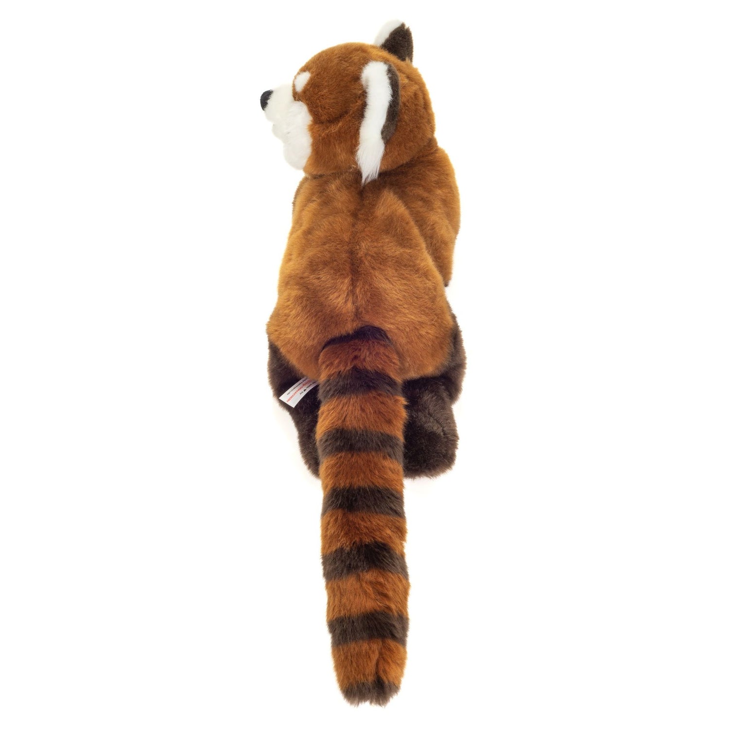 Red Panda