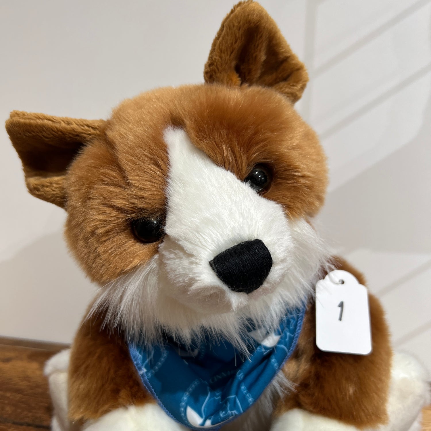 Cinnamon Pup