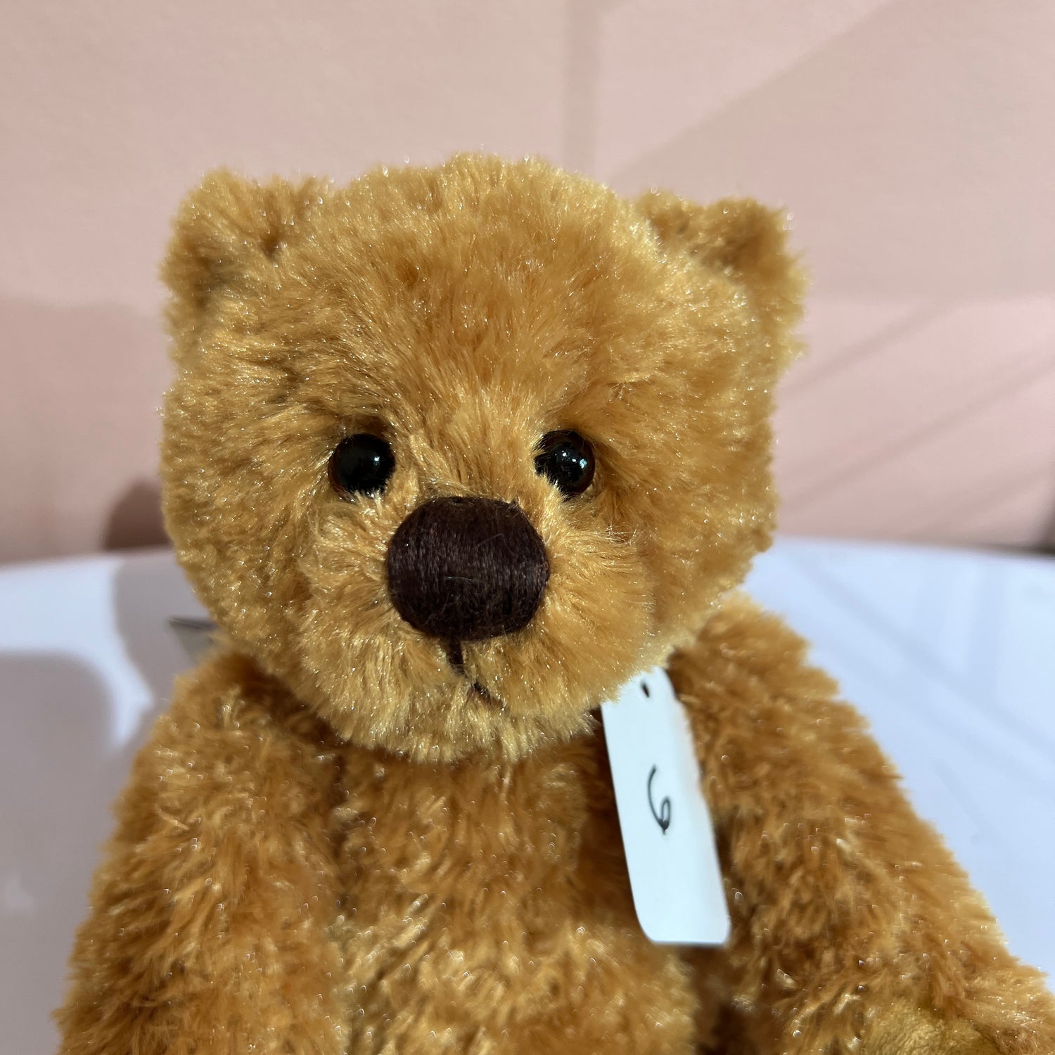 Huggable Harry