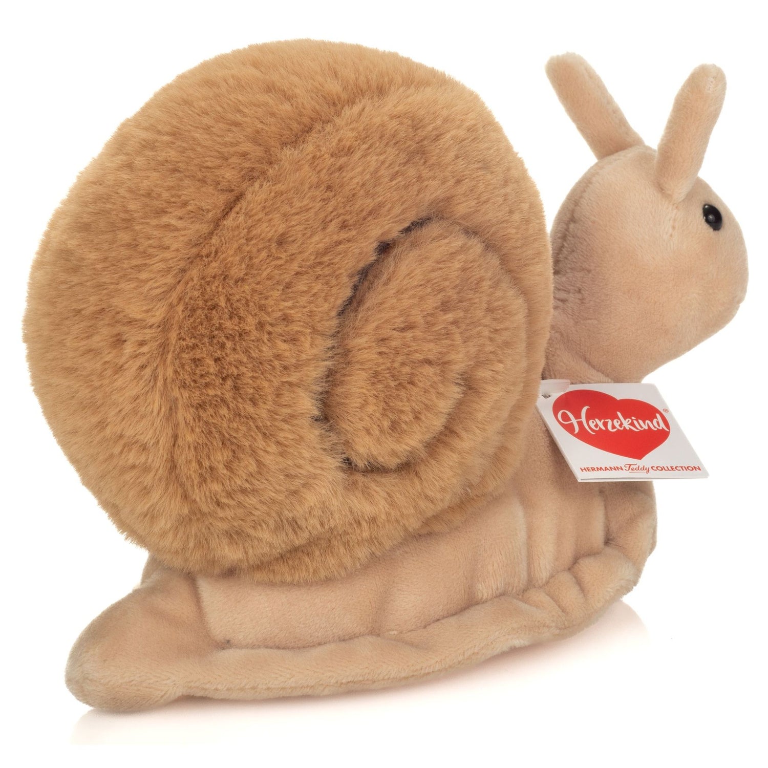 Snail Lotta