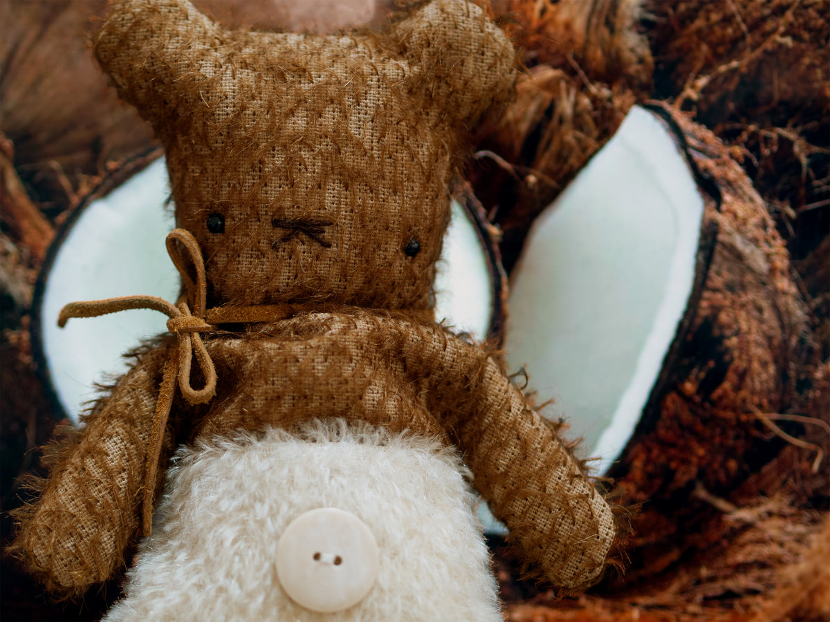 Bear Bears Kokos