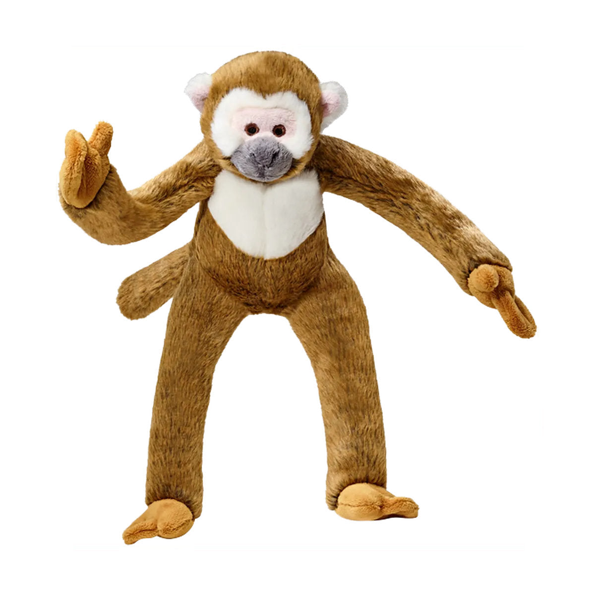 Albert Monkey