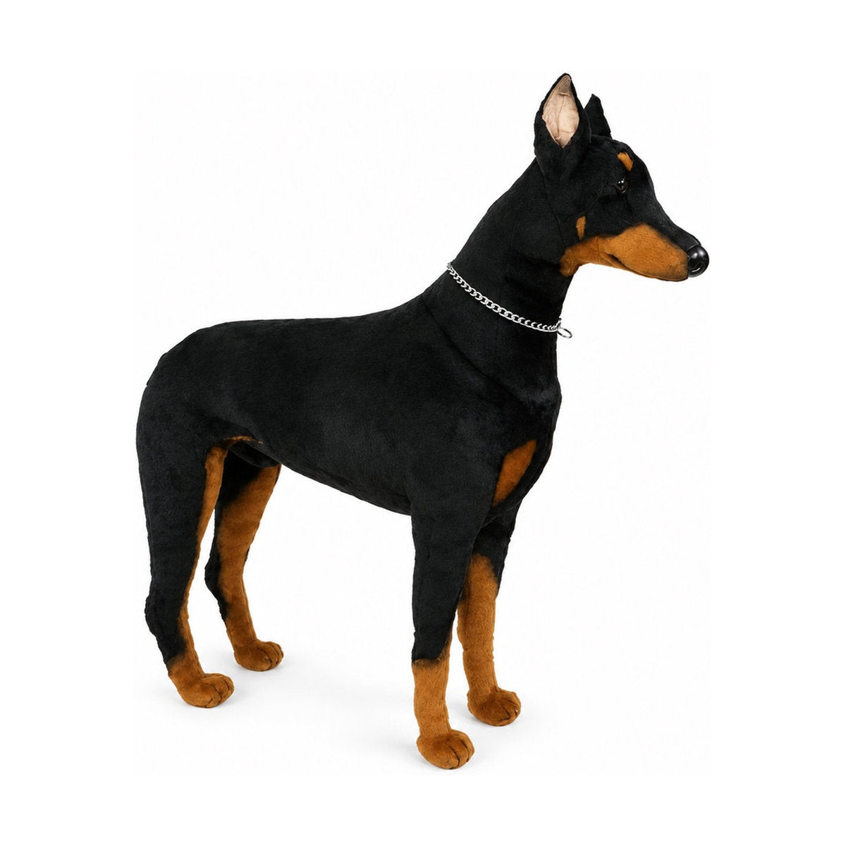 Piutrè Dobermann