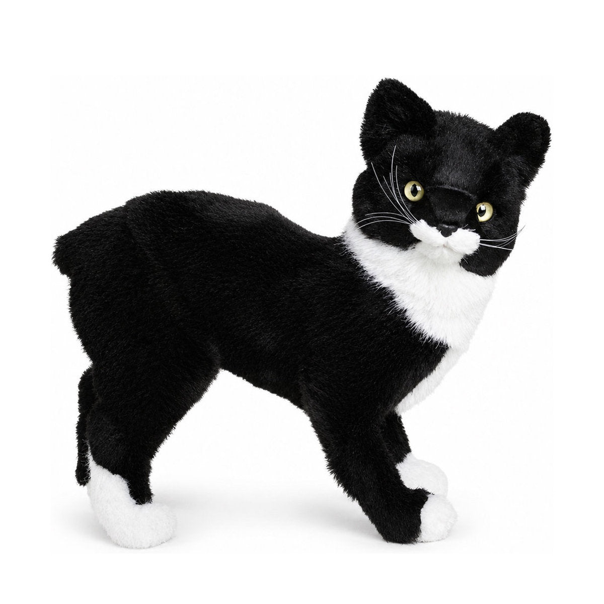 Piutrè Manxkatt