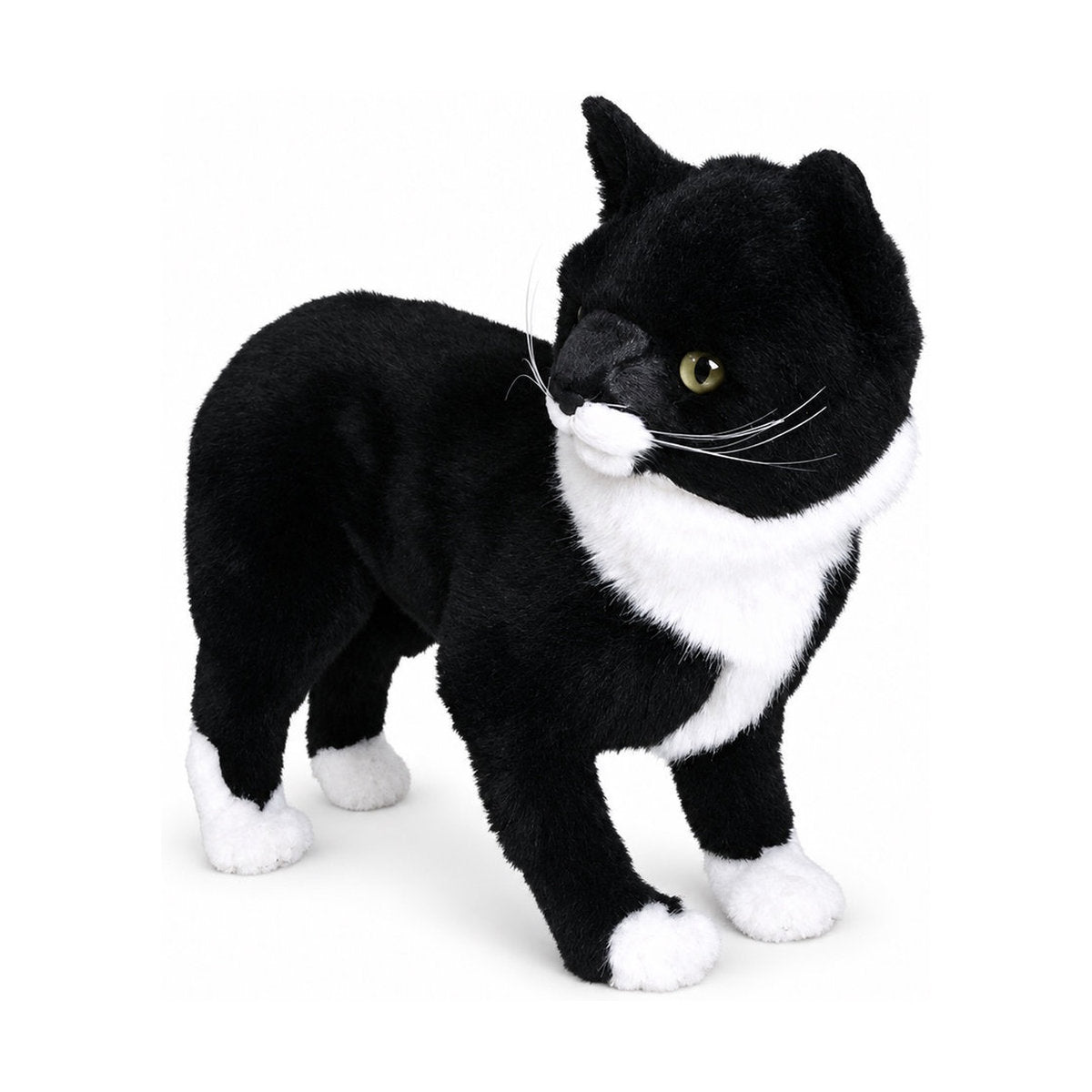Piutrè Manxkatt