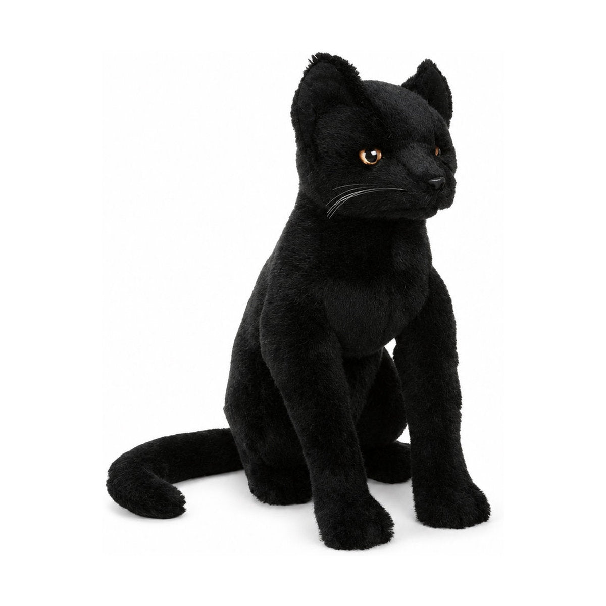Piutrè Svart katt