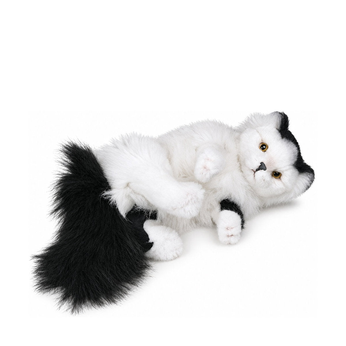 Piutrè Turkisk van-katt vit och svart