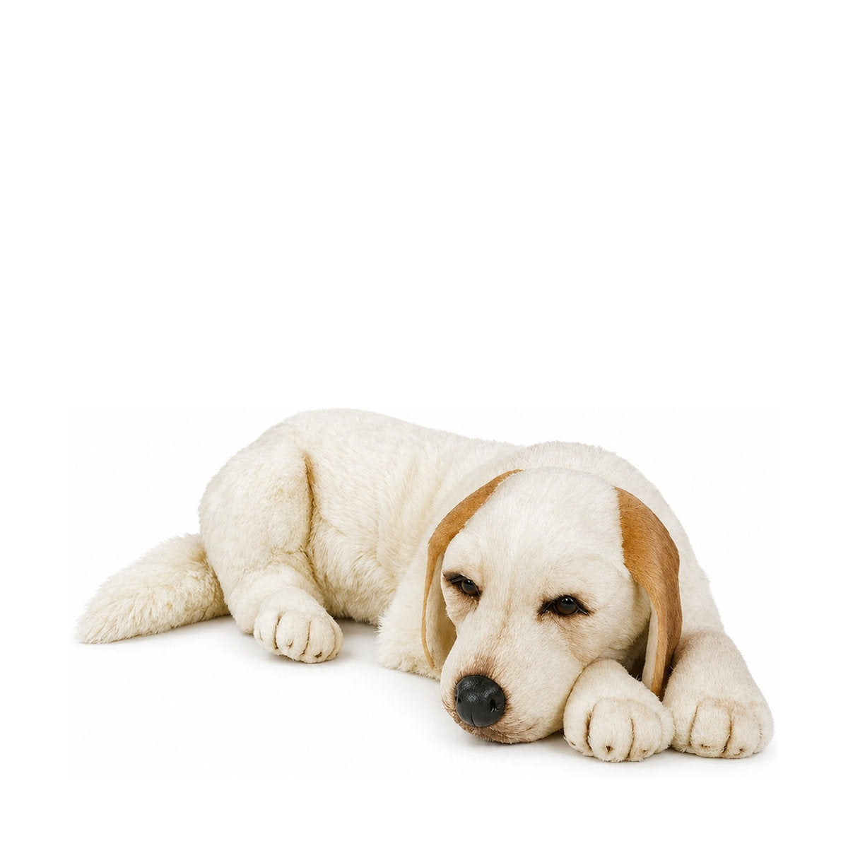PIUTRE-1201 pose:lying-head-down