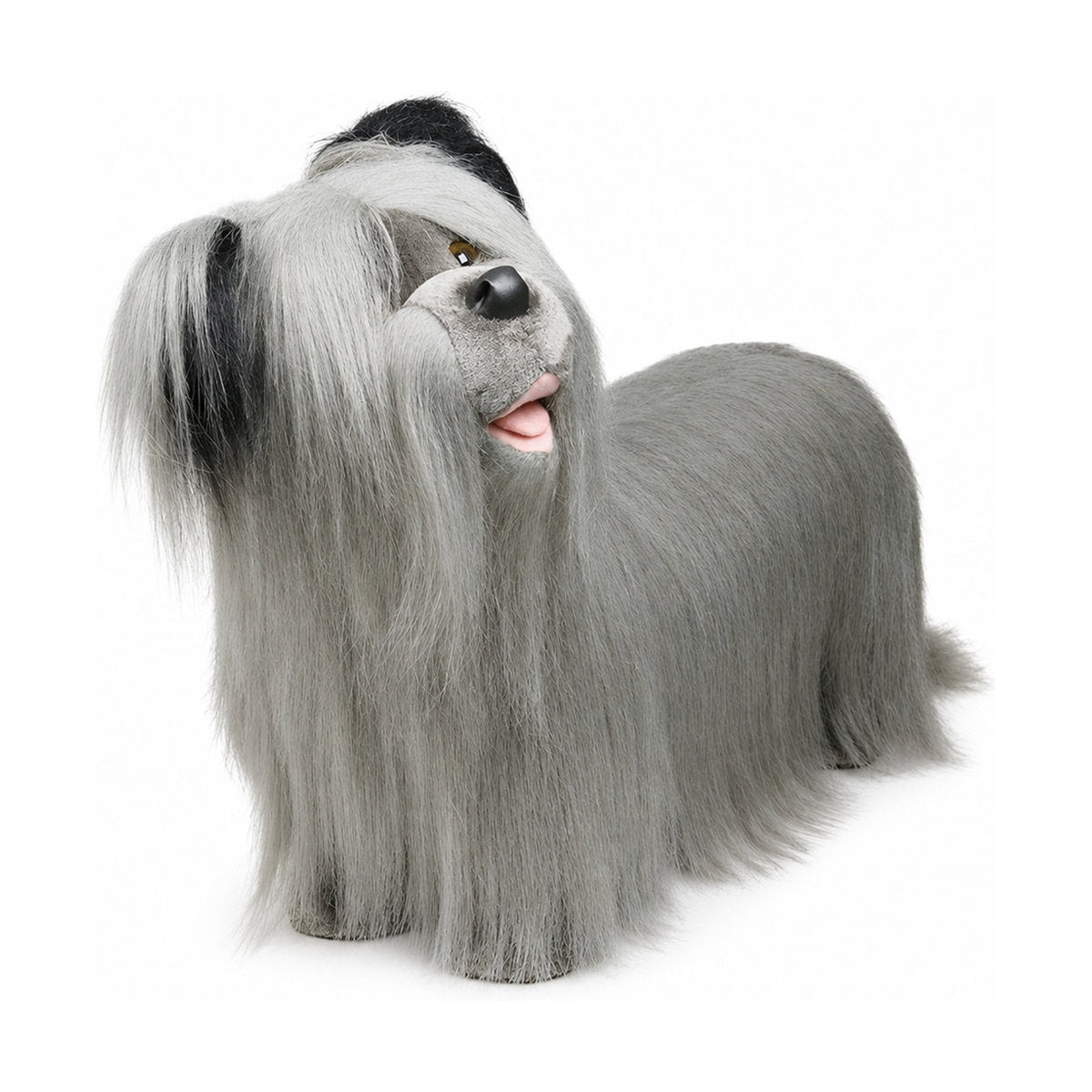 Piutrè Skyeterrier