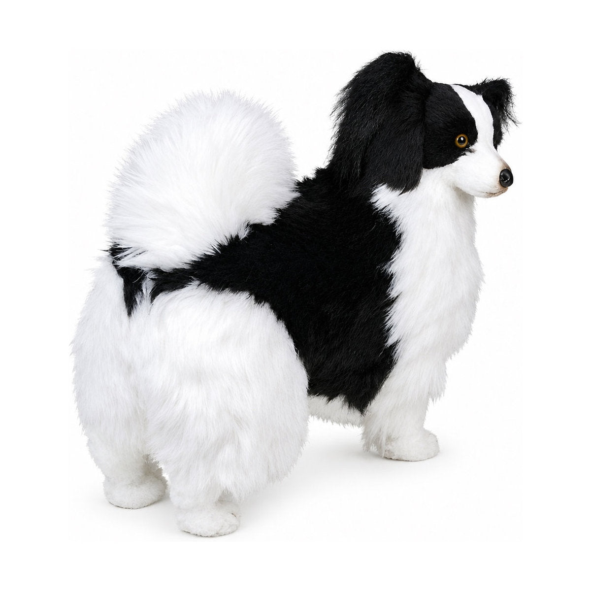 Piutrè Papillon