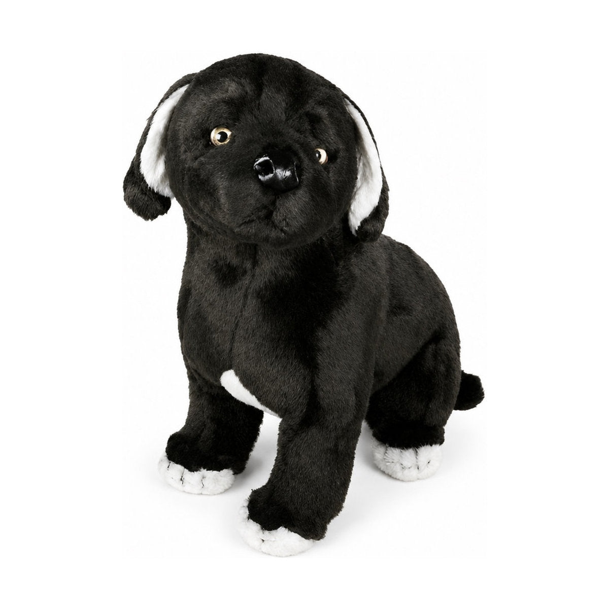 Piutrè Mastino napoletano