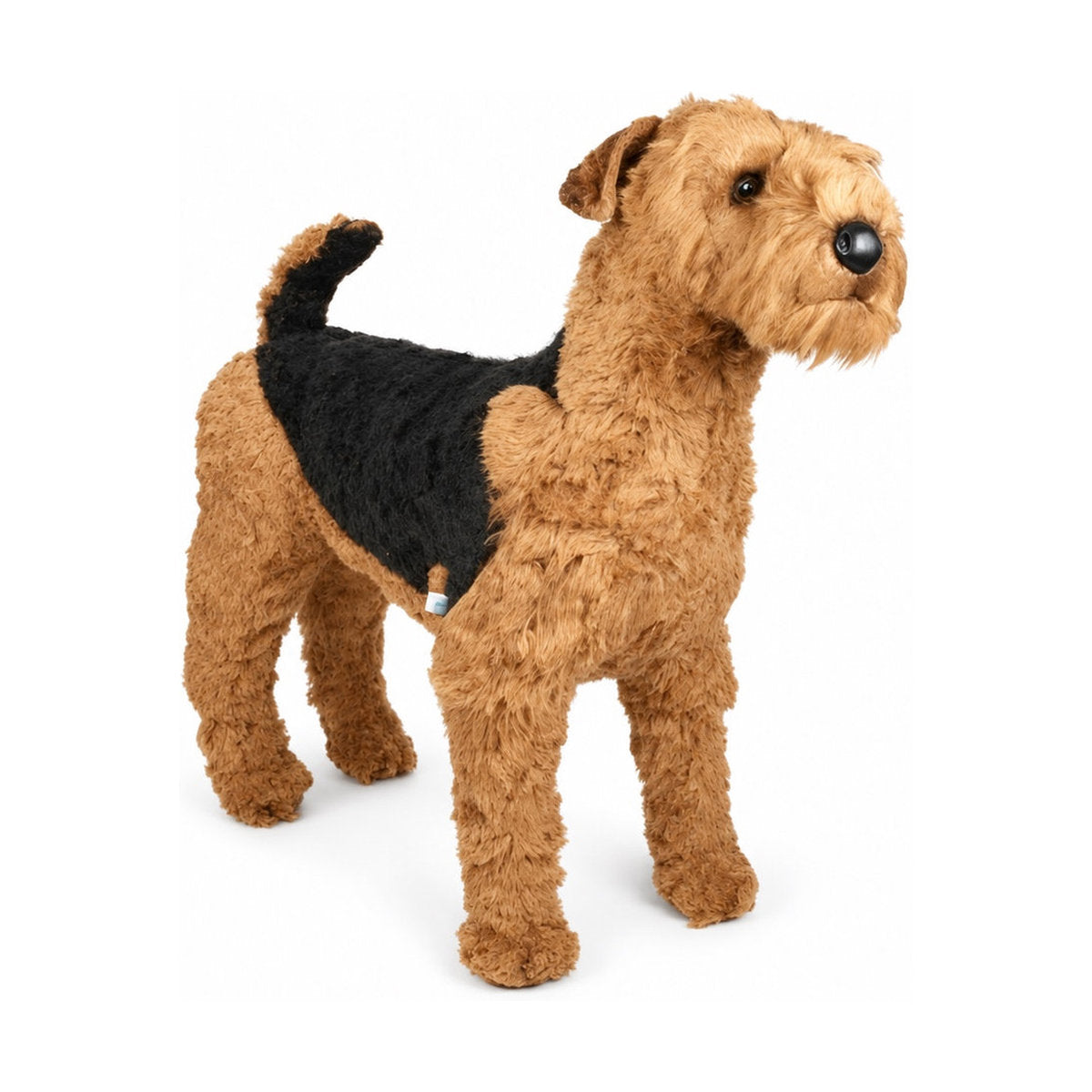 Piutrè Airedaleterrier