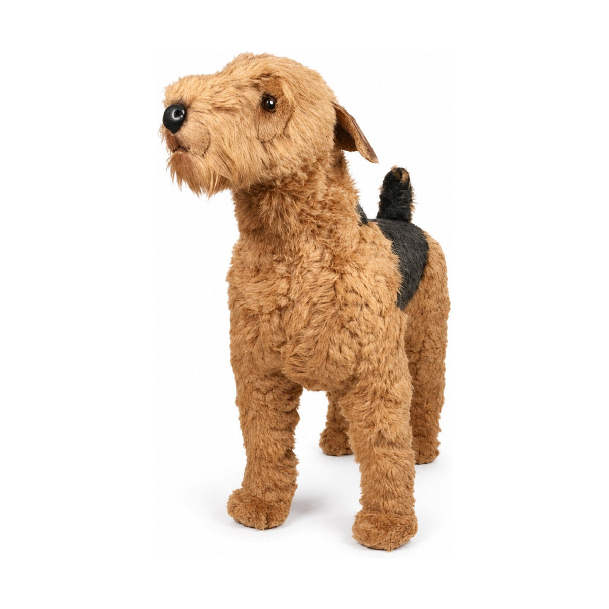 Piutrè Airedaleterrier