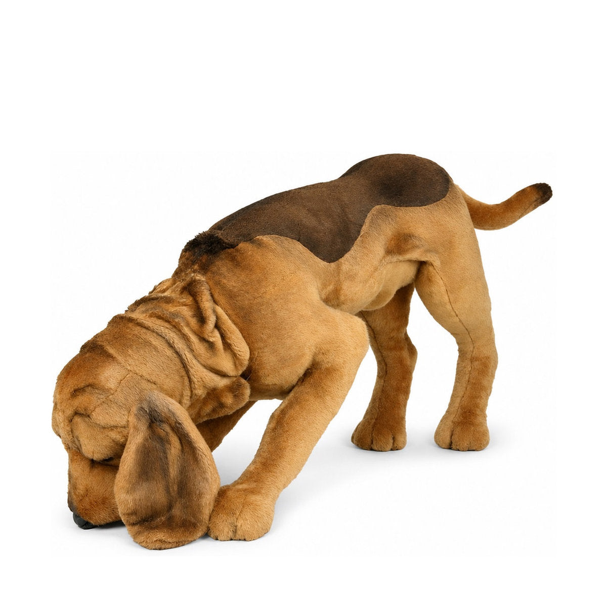 Piutrè Blodhund