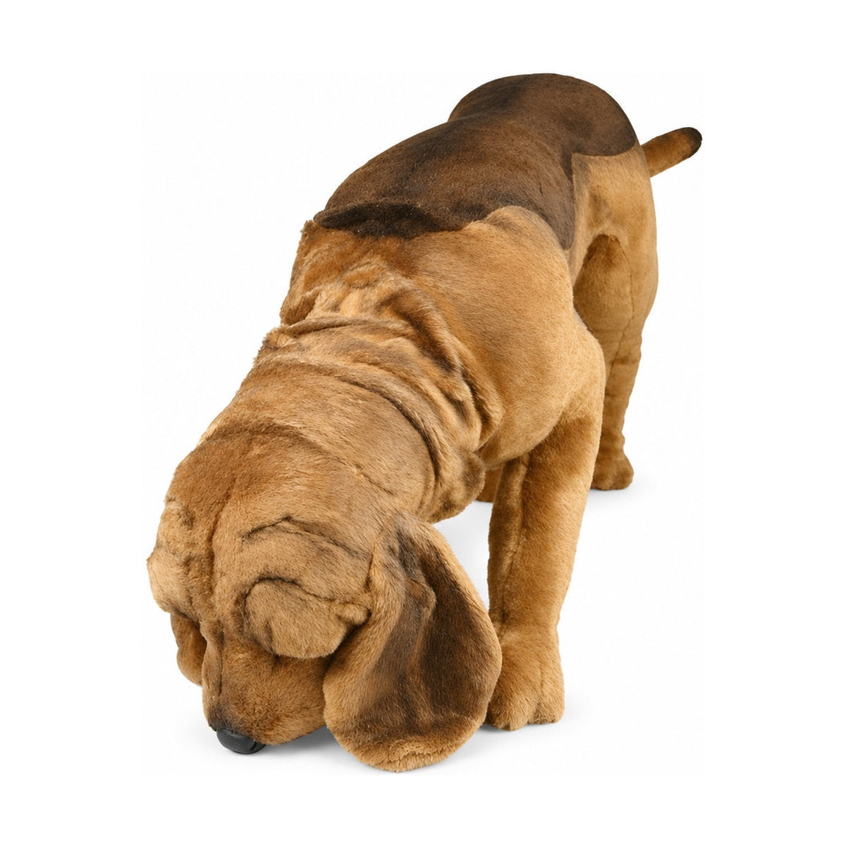 Piutrè Blodhund