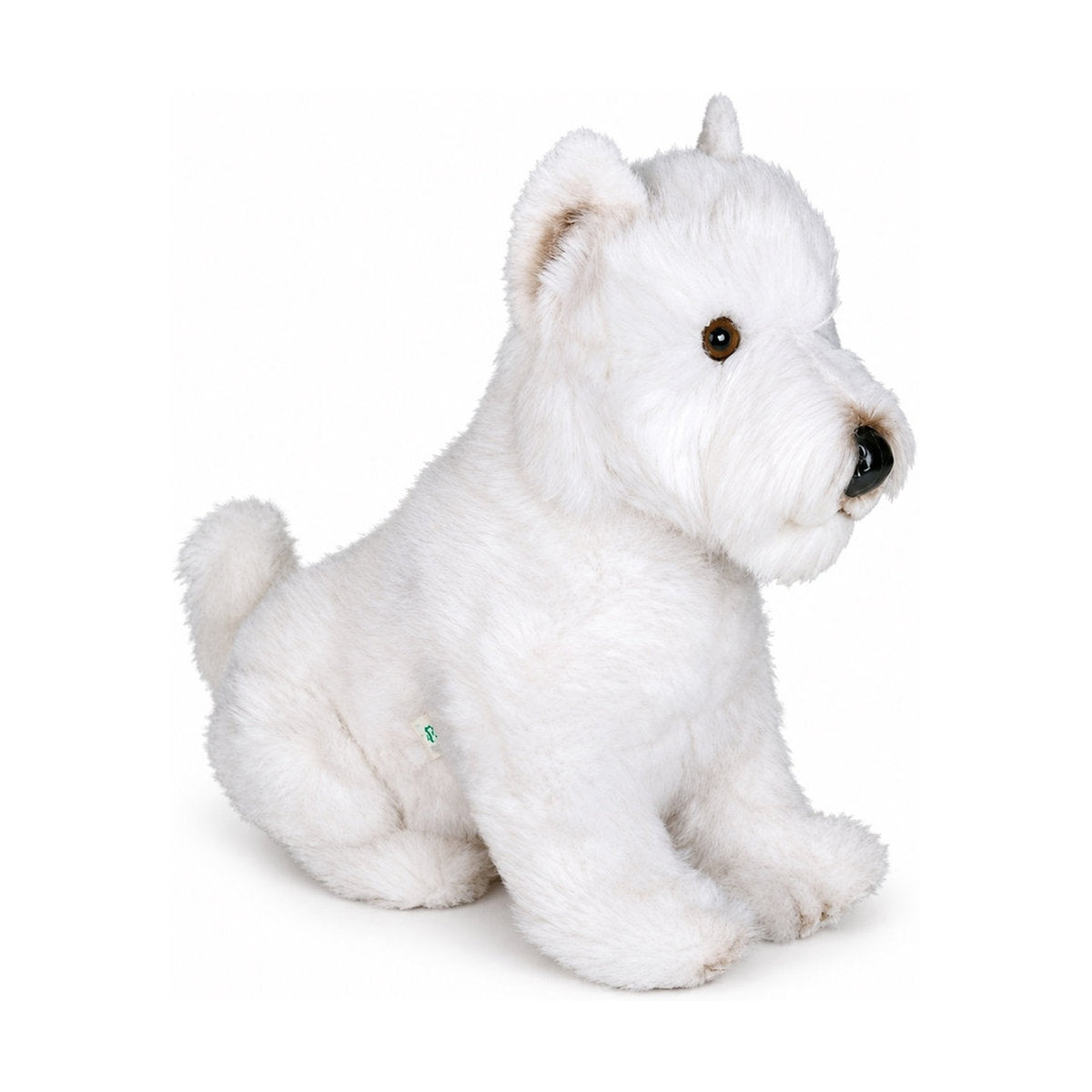 PIUTRE-2275 pose:sitting