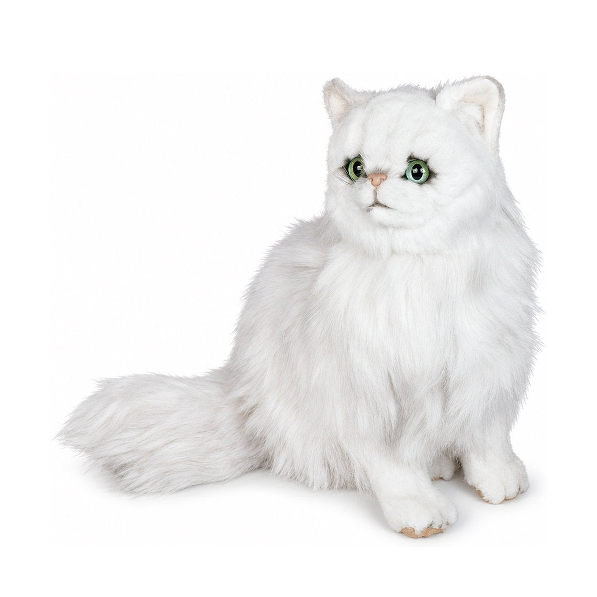 Piutrè Vit chinchilla-perserkatt