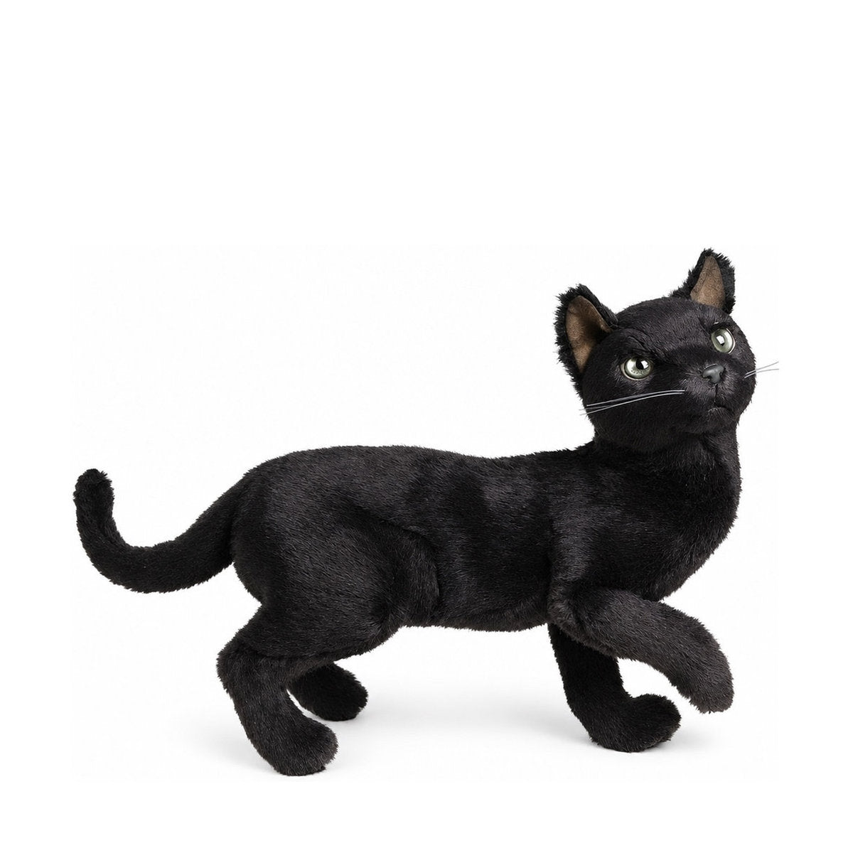 Piutrè Rysk blå katt