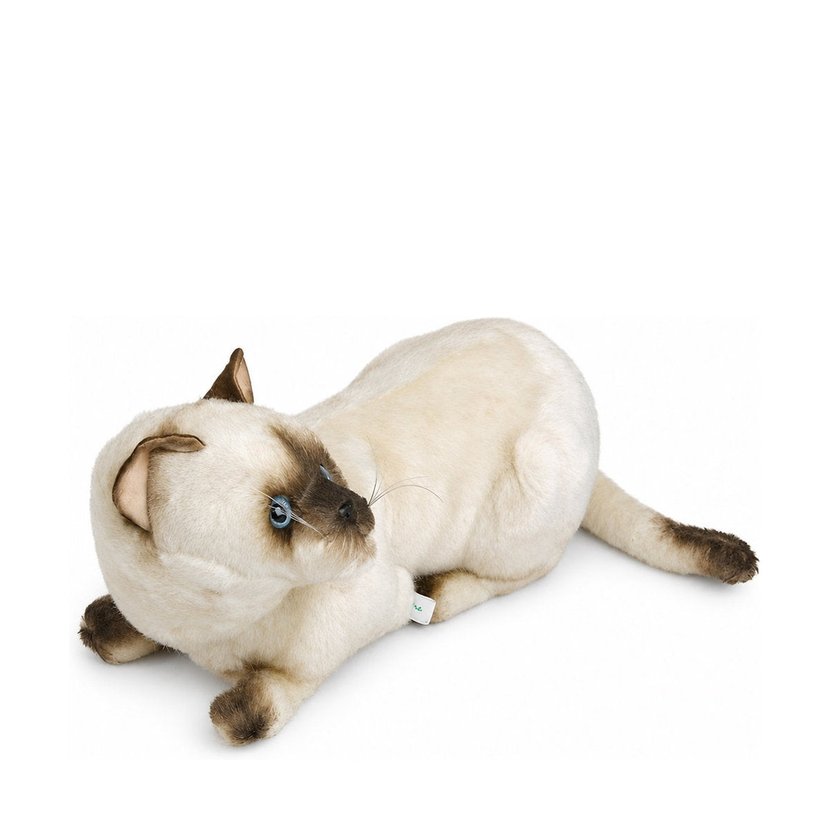 PIUTRE-2354 pose:lying