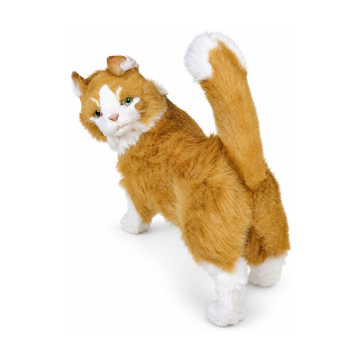 PIUTRE-2380 pose:standing
