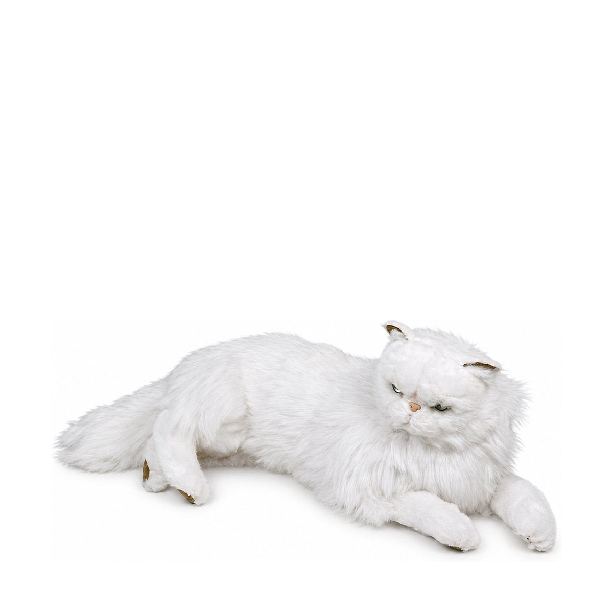 Piutrè Perserkatt vit
