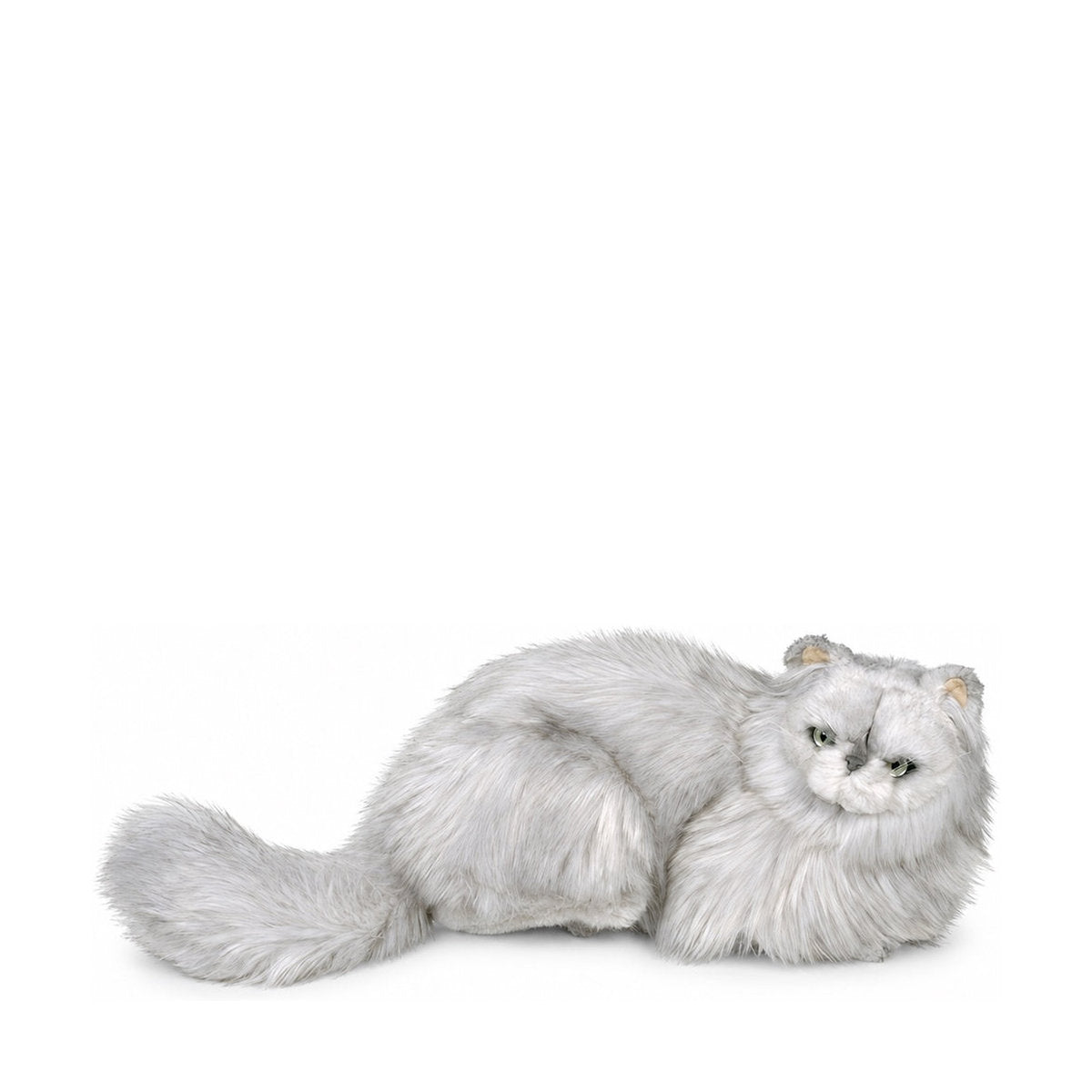 Piutrè Perserkatt silver