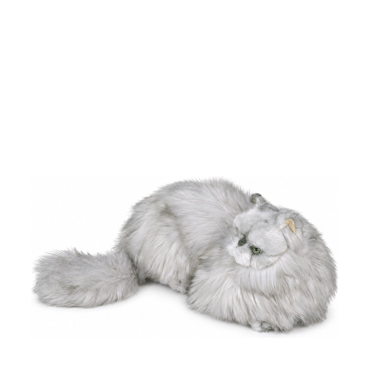 Piutrè Perserkatt silver