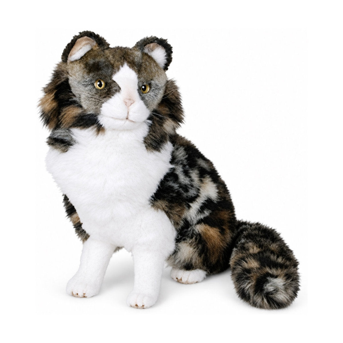 Piutrè Norsk skogkatt