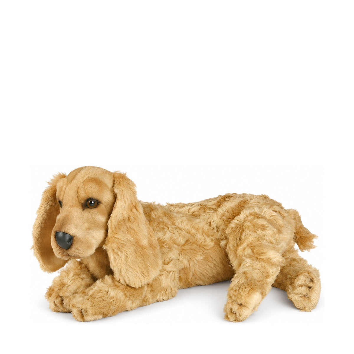 Piutrè Cockerspaniel
