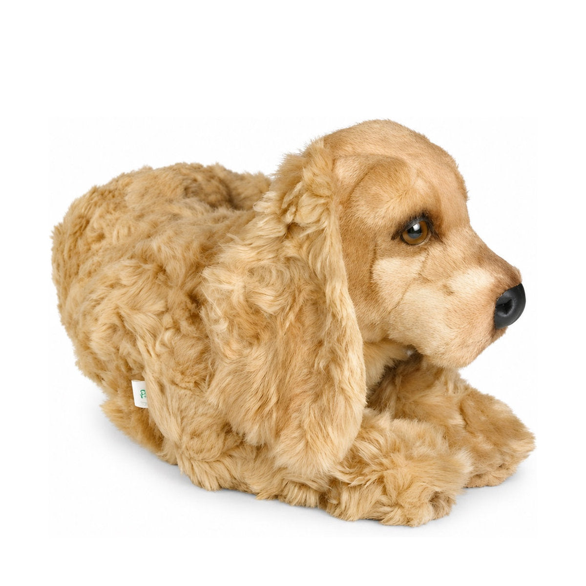 Piutrè Cockerspaniel
