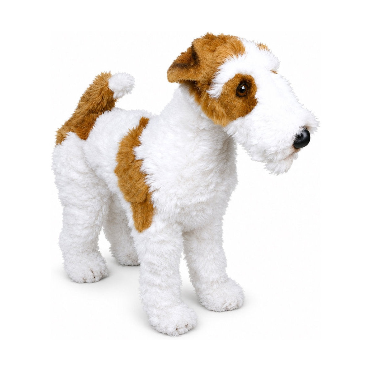 Piutrè Strävhårig foxterrier