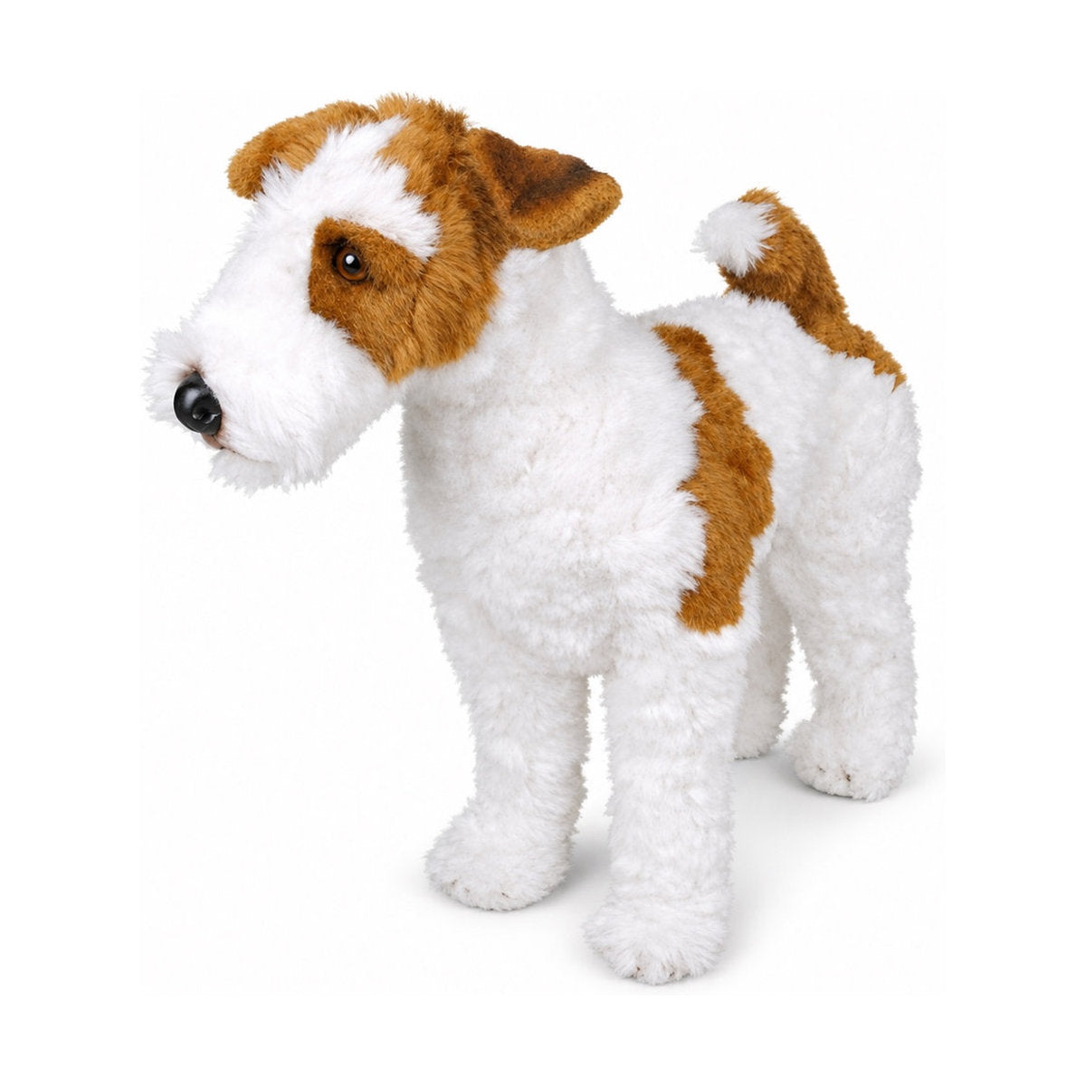 Piutrè Strävhårig foxterrier