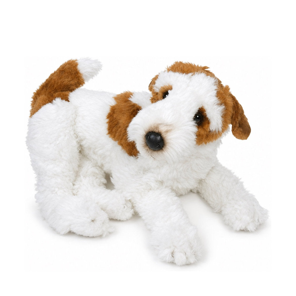 Piutrè Strävhårig foxterrier
