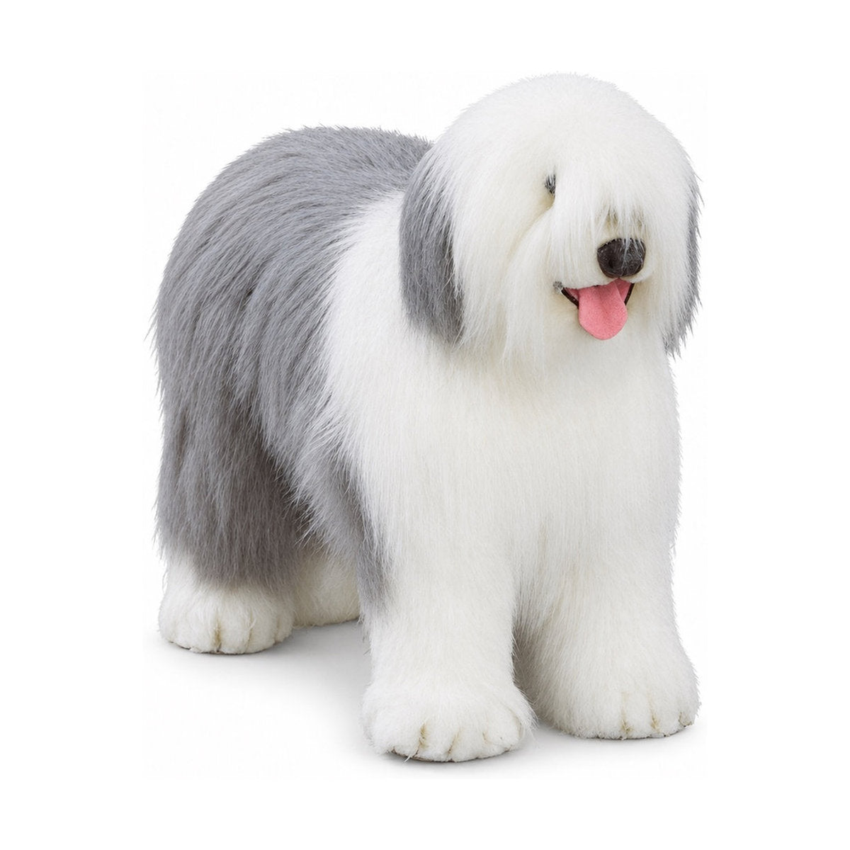Piutrè Old English Sheepdog