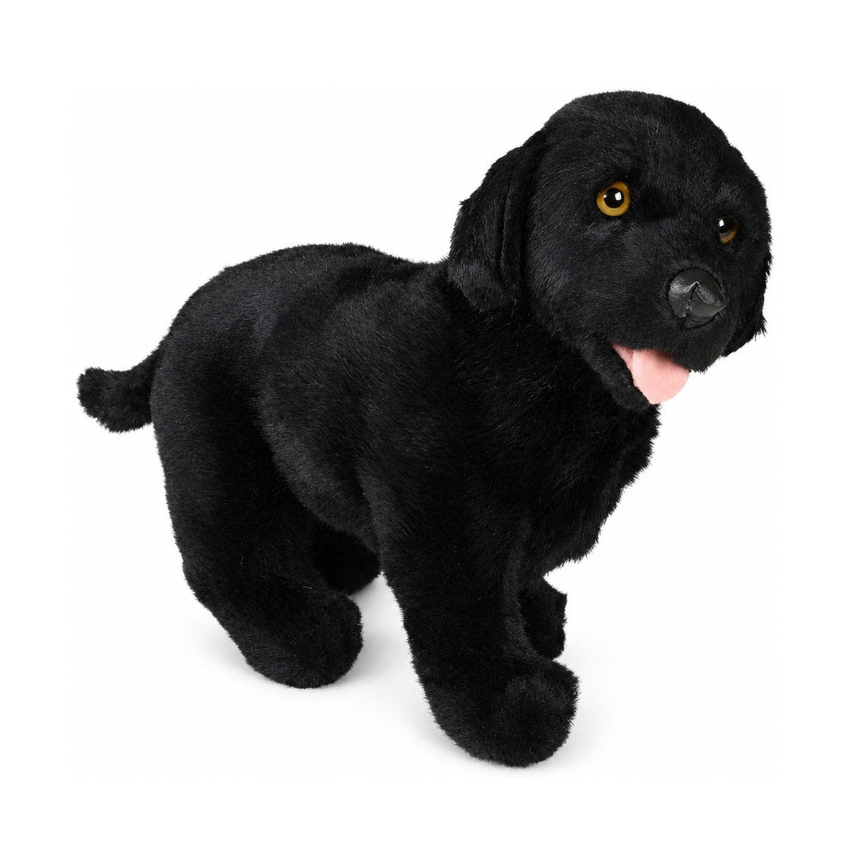 Piutrè Svart labrador retriever