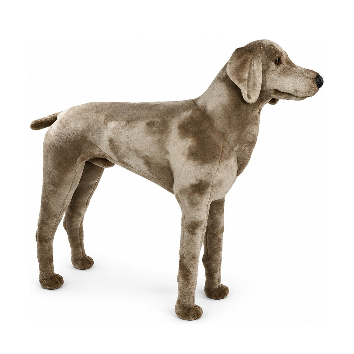 PIUTRE-3350 pose:standing