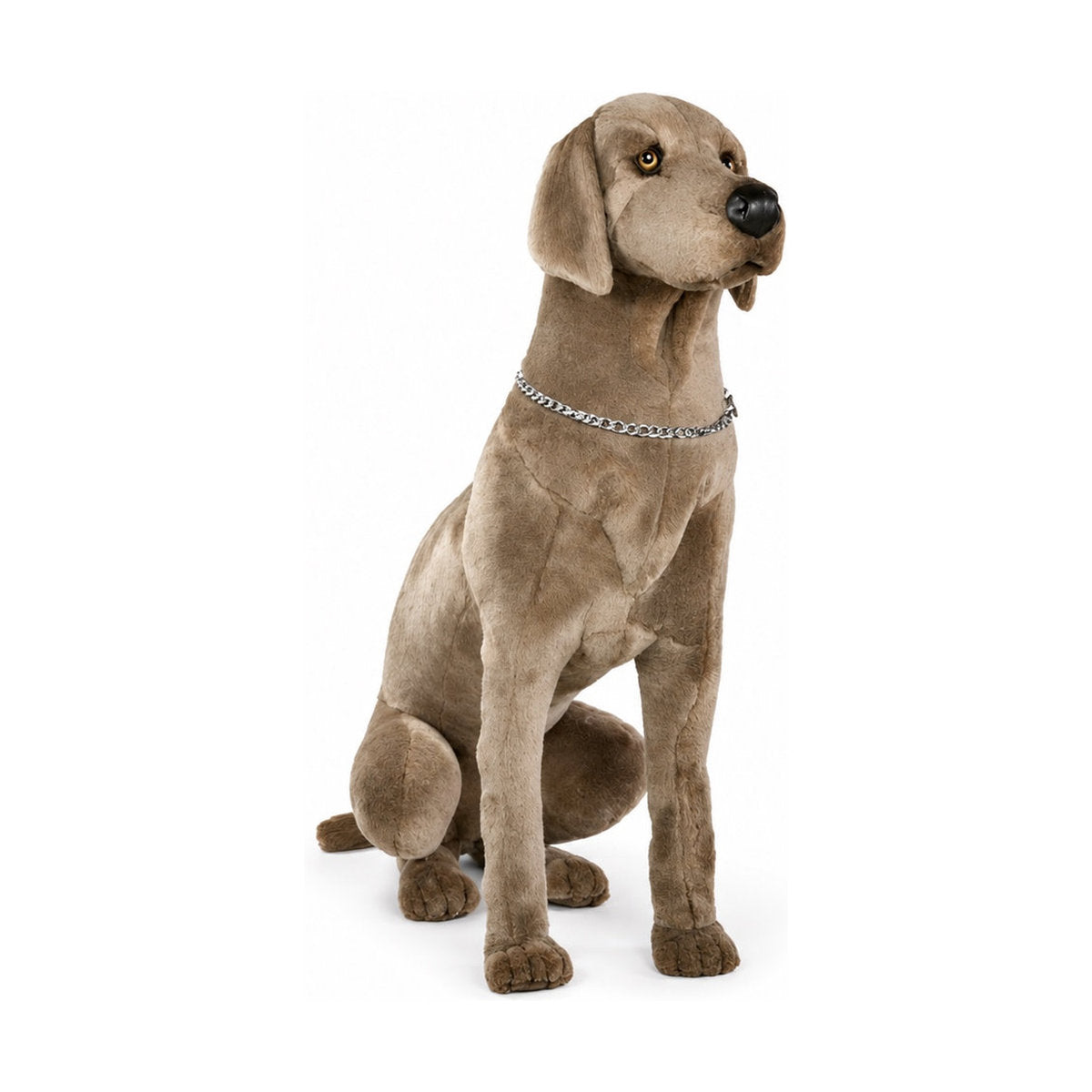 PIUTRE-3351 pose:sitting