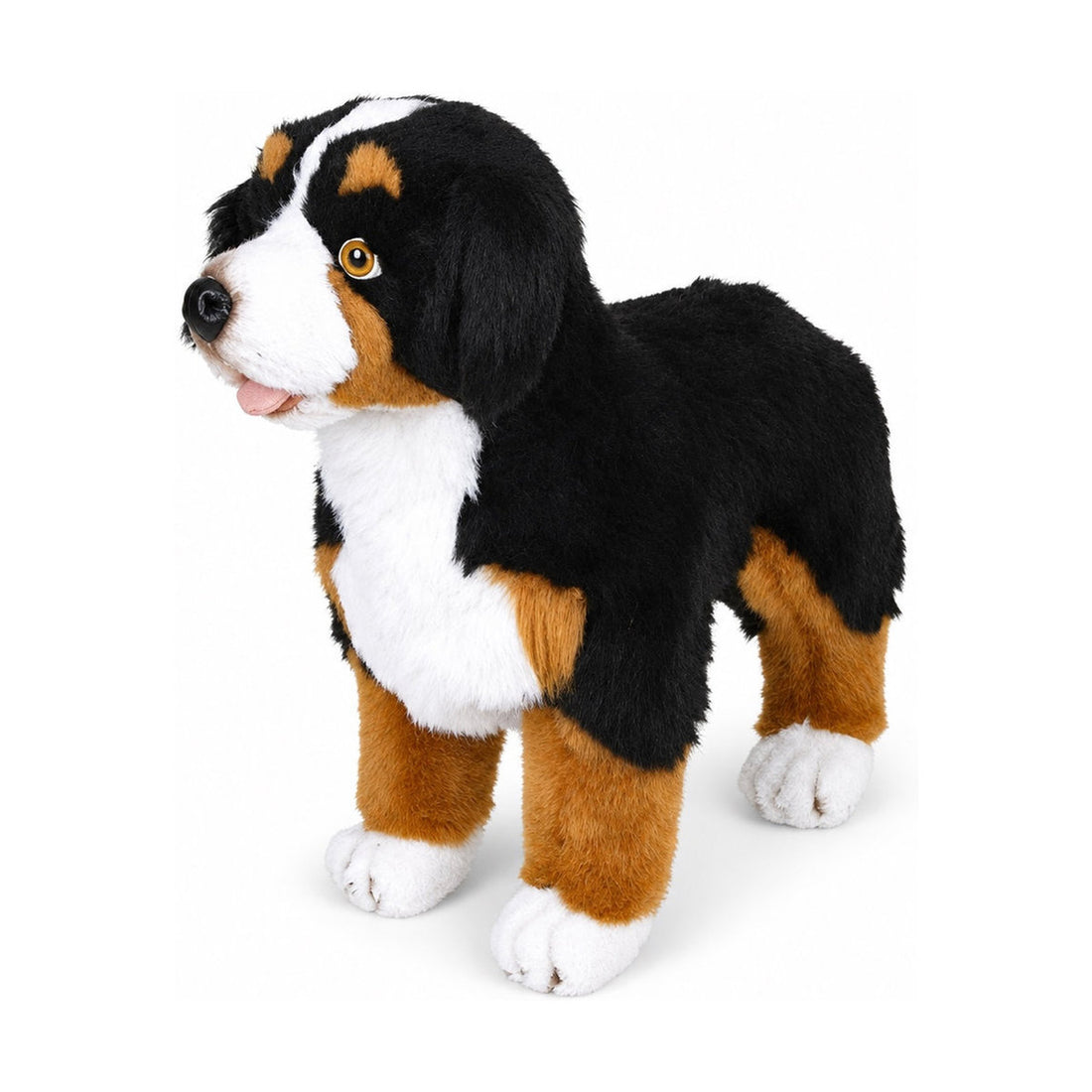 Piutrè Berner sennenhund