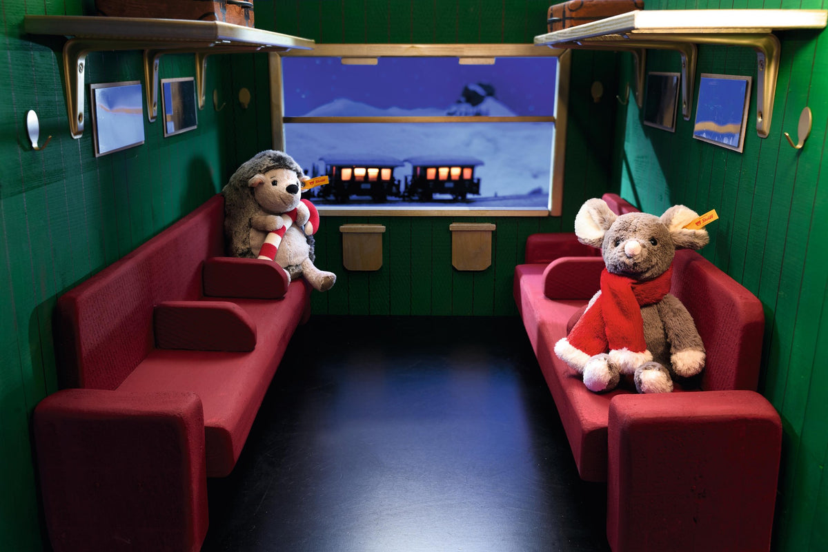 Mia and Hedgy on the night train