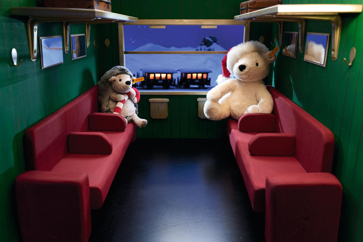 Rico and Hedgy on the night train
